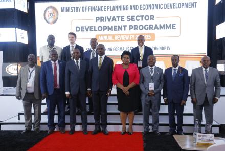 Private Sector Development (PSD) Programme Annual Review FY 2024/25